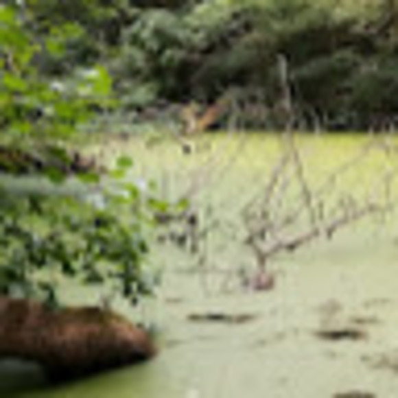 Meet your Posher, Farnam - Picture 1 of 1